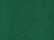 collegiate-green_https://cdn.ssactivewear.com/Images/ColorSwatch/26521_fm.jpg