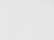 white_https://cdn.ssactivewear.com/Images/ColorSwatch/26555_fm.jpg