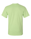 pistachio_https://cdn.ssactivewear.com/Images/Color/27287_b_fl.jpg