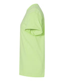 pistachio_https://cdn.ssactivewear.com/Images/Color/27287_d_fl.jpg