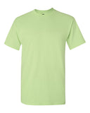 pistachio_https://cdn.ssactivewear.com/Images/Color/27287_f_fl.jpg