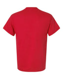 red_https://cdn.ssactivewear.com/Images/Color/27288_b_fl.jpg
