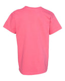 crunchberry_https://cdn.ssactivewear.com/Images/Color/27889_b_fl.jpg
