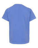 flo-blue_https://cdn.ssactivewear.com/Images/Color/27890_b_fl.jpg