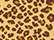 leopard-triblend_https://cdn.ssactivewear.com/Images/ColorSwatch/28629_fm.jpg