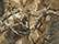 outdoor-camo-triblend_https://cdn.ssactivewear.com/Images/ColorSwatch/28632_fm.jpg