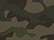 forest-camo_https://cdn.ssactivewear.com/Images/ColorSwatch/29169_fm.jpg