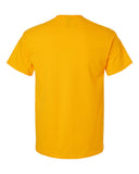 gold_https://cdn.ssactivewear.com/Images/Color/29998_b_fl.jpg