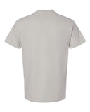 ice-grey_https://cdn.ssactivewear.com/Images/Color/29999_b_fl.jpg
