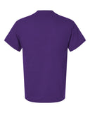 purple_https://cdn.ssactivewear.com/Images/Color/30004_b_fl.jpg