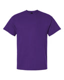 purple_https://cdn.ssactivewear.com/Images/Color/30004_f_fl.jpg