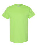 lime_https://cdn.ssactivewear.com/Images/Color/30030_f_fl.jpg