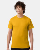 gold_https://cdn.ssactivewear.com/Images/ModelColor/30349_omf_fl.jpg