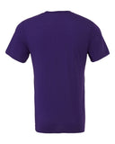 team-purple_https://cdn.ssactivewear.com/Images/Color/30654_b_fl.jpg