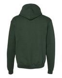 dark-green_https://cdn.ssactivewear.com/Images/Color/30687_b_fl.jpg