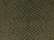 green-reptile_https://cdn.ssactivewear.com/Images/ColorSwatch/32422_fm.jpg