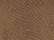 brown-reptile_https://cdn.ssactivewear.com/Images/ColorSwatch/32435_fm.jpg