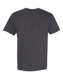 graphite_https://cdn.ssactivewear.com/Images/Color/32889_f_fl.jpg