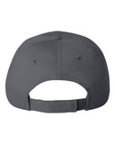 charcoal_https://cdn.ssactivewear.com/Images/Color/33613_b_fl.jpg