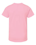 pink_https://cdn.ssactivewear.com/Images/Color/36163_b_fl.jpg
