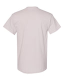 ice-grey_https://cdn.ssactivewear.com/Images/Color/37312_b_fl.jpg
