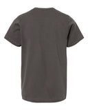 charcoal_https://cdn.ssactivewear.com/Images/Color/39190_b_fl.jpg