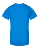cobalt_https://cdn.ssactivewear.com/Images/Color/39191_b_fl.jpg