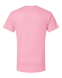 pink_https://cdn.ssactivewear.com/Images/Color/39193_b_fl.jpg