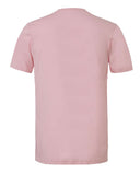 pink_https://cdn.ssactivewear.com/Images/Color/39897_b_fl.jpg