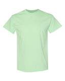 mint-green_https://cdn.ssactivewear.com/Images/Color/40519_f_fl.jpg