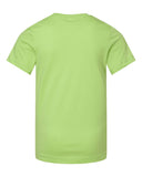 key-lime_https://cdn.ssactivewear.com/Images/Color/42271_b_fl.jpg