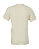 natural_https://cdn.ssactivewear.com/Images/Color/43540_b_fl.jpg