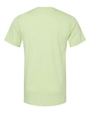 spring-green_https://cdn.ssactivewear.com/Images/Color/43544_b_fl.jpg