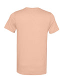 peach_https://cdn.ssactivewear.com/Images/Color/45720_b_fl.jpg
