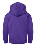 purple_https://cdn.ssactivewear.com/Images/Color/46375_b_fl.jpg