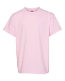 blossom_https://cdn.ssactivewear.com/Images/Color/46875_f_fl.jpg