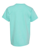 chalky-mint_https://cdn.ssactivewear.com/Images/Color/46882_b_fl.jpg