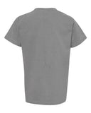 grey_https://cdn.ssactivewear.com/Images/Color/46891_b_fl.jpg