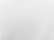white-black_https://cdn.ssactivewear.com/Images/ColorSwatch/46920_fm.jpg