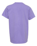 violet_https://cdn.ssactivewear.com/Images/Color/46921_b_fl.jpg