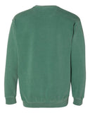 light-green_https://cdn.ssactivewear.com/Images/Color/47146_b_fl.jpg
