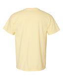 banana_https://cdn.ssactivewear.com/Images/Color/47183_b_fl.jpg