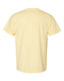 banana_https://cdn.ssactivewear.com/Images/Color/47183_b_fm.jpg
