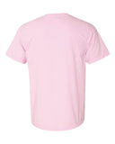 blossom_https://cdn.ssactivewear.com/Images/Color/47186_b_fl.jpg