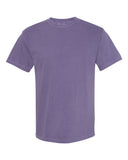 grape_https://cdn.ssactivewear.com/Images/Color/47200_f_fl.jpg