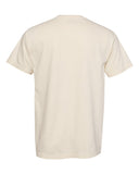 ivory_https://cdn.ssactivewear.com/Images/Color/47202_b_fl.jpg
