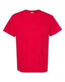 red_https://cdn.ssactivewear.com/Images/Color/47225_f_fl.jpg