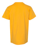 gold_https://cdn.ssactivewear.com/Images/Color/50038_b_fl.jpg
