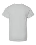 silver_https://cdn.ssactivewear.com/Images/Color/50045_b_fl.jpg