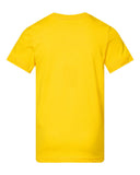 yellow_https://cdn.ssactivewear.com/Images/Color/50046_b_fl.jpg